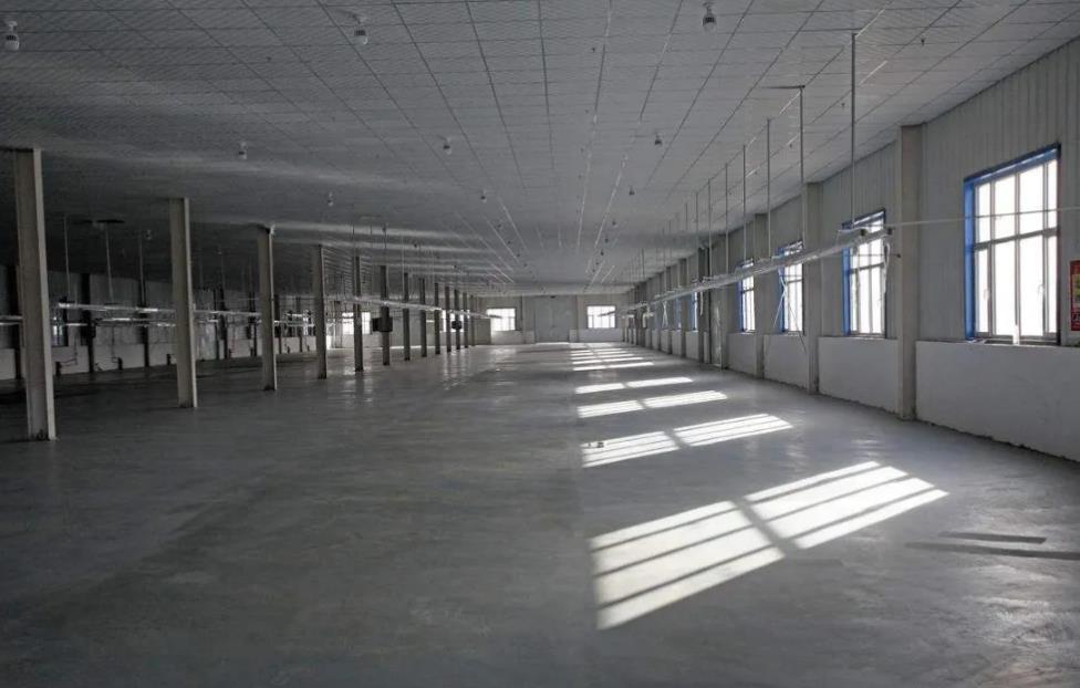 ���S�b�޹���